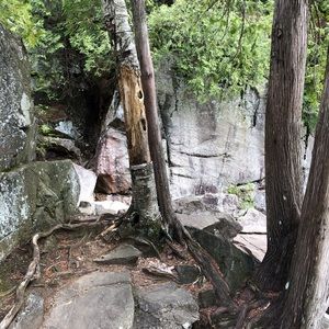 Meet your Posher, Tracey